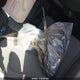 3VWSX7BU5SM101643 2025 Volkswagen Jetta Comfortline auction photo thumbnail 8