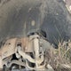 1GCEK19T9YZ235958 2000 Chevrolet Silverado K1500 auction photo thumbnail 9