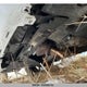 1G1JC6EH1D4214712 2013 Chevrolet Sonic Lt auction photo thumbnail 8