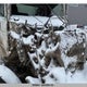 2AYNE8JTXJ3S23003 2018 Hino 198/258/268 auction photo thumbnail 15