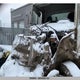 2AYNE8JTXJ3S23003 2018 Hino 198/258/268 auction photo thumbnail 16