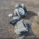 3VW5DAAT4KM502970 2019 Volkswagen Beetle S/Final Edition Se/Final auction photo thumbnail 12
