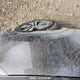 KNDPC3A26B7020318 2011 Kia Sportage Ex/Sx auction photo thumbnail 7