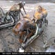 1HFSC55096A210790 2006 Honda Vtx1300C auction photo thumbnail 4
