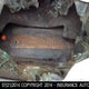 1FTPW14V27KB31907 2007 Ford Lgt Convtnl 'F' F150 auction photo thumbnail 9