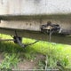4L7S6EV17T1000567 1996 Amrad Utility Trailer auction photo thumbnail 3