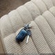 2GCFC29KXR1288712 1994 Chevrolet Sierra auction photo thumbnail 11