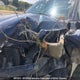 1FTFW1E51JKE08922 2018 Ford F150 auction photo thumbnail 7