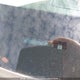 1GCPYCEK0NZ112576 2022 Chevrolet Silverado 1500 Ltd Custom Trail Boss auction photo thumbnail 19