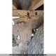 1UYVS3538GG715602 2016 Utility Trailer Mfg Dryvan auction photo thumbnail 10
