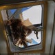 2TTRT2306YR000452 2000 Travelaire Rustler auction photo thumbnail 13