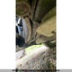 1G1AJ55F567667361 2006 Chevrolet Cobalt Ls auction photo thumbnail 8