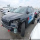 1C4PJMBS9GW113390 2016 Jeep Cherokee Trailhawk auction photo thumbnail 2
