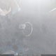 WDDGF81X99F349584 2009 Mercedes-Benz C 300 4Matic auction photo thumbnail 11