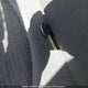 KMHCT5AE8FU198559 2015 Hyundai Accent Gs auction photo thumbnail 11