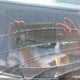 2T3DFREV6DW054641 2013 Toyota Rav4 auction photo thumbnail 19