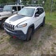 1C4PJMBX3JD542085 2018 Jeep Cherokee Trailhawk auction photo thumbnail 2