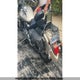 JYAVP11N32A007423 2002 Yamaha Vp11 N auction photo thumbnail 3