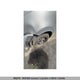 3G1TB6DE2AL118080 2010 Chevrolet Aveo auction photo thumbnail 11