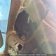 3FA6P0H97DR307704 2013 Ford Fusion Se auction photo thumbnail 15