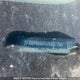 3FA6P0H97DR307704 2013 Ford Fusion Se auction photo thumbnail 8