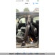 1GC5K1C83BZ327465 2011 Chevrolet Silverado K3500 Ltz auction photo thumbnail 7