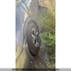 3KPF54ADXKE056252 2019 Kia Forte auction photo thumbnail 6