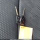 2T1BE40E89C025776 2009 Toyota Corolla Xrs auction photo thumbnail 11
