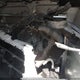 1FTYE1YM0KKA90341 2019 Ford Transit-150 auction photo thumbnail 12