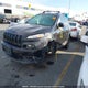 1C4PJLCB6GW183986 2016 Jeep Cherokee Latitude auction photo thumbnail 2