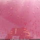 1ZVBP8AM4E5323429 2014 Ford Mustang auction photo thumbnail 10