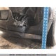 2FMDK4KC6DBB99811 2013 Ford Edge auction photo thumbnail 14