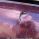 5TDBT64A58S000185 2008 Toyota Sequoia Sr5 auction photo thumbnail 10