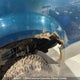 1FTSX31S82EC56026 2002 Ford F350 auction photo thumbnail 19
