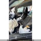 5N1AT2MV8HC804887 2017 Nissan Rogue auction photo thumbnail 8