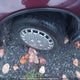 JHMCB7648MC803247 1991 Honda Accord Dx/Lx auction photo thumbnail 22