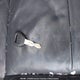1HGCG22501A800551 2001 Honda Accord Ex auction photo thumbnail 11