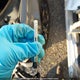 1C4SDJH91PC687424 2023 Dodge Durango Srt Hellcat auction photo thumbnail 22