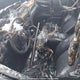4T1S11AK3PU752284 2023 Toyota Camry Se Night Shade/Se auction photo thumbnail 14