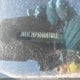 JN8AE2KP5D9067002 2013 Nissan Quest auction photo thumbnail 18