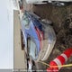JN1BJ1BW4NW484484 2022 Nissan Qashqai Sl/Sv auction photo thumbnail 3