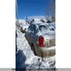 KMHCN45C38U202288 2008 Hyundai Accent Gls auction photo thumbnail 4