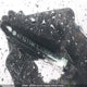 4T1G11AK1LU366821 2020 Toyota Camry Se/Se Night Shade auction photo thumbnail 19