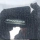 WP1AA2A21HKA89136 2017 Porsche Cayenne auction photo thumbnail 20