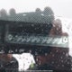 JH4CL96888C800866 2008 Acura Tsx auction photo thumbnail 18