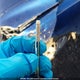 KMHDB8AE7CU132508 2012 Hyundai Elantra Touring Gls auction photo thumbnail 21