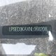 LPSED3KAXNL068208 2022 Polestar 2 auction photo thumbnail 9