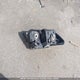 3D4PG4FB7AT250191 2010 Dodge Journey Se auction photo thumbnail 12