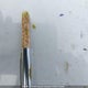 2HGFA164X8H026928 2008 Honda Civic Dx-G auction photo thumbnail 20