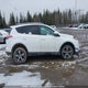 2T3BFREV5JW726529 2018 Toyota Rav4 Le auction photo thumbnail 14